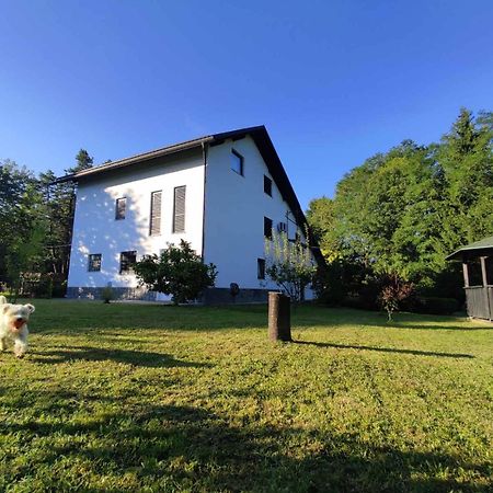 Studio Apartman Gorica Ogulin Esterno foto